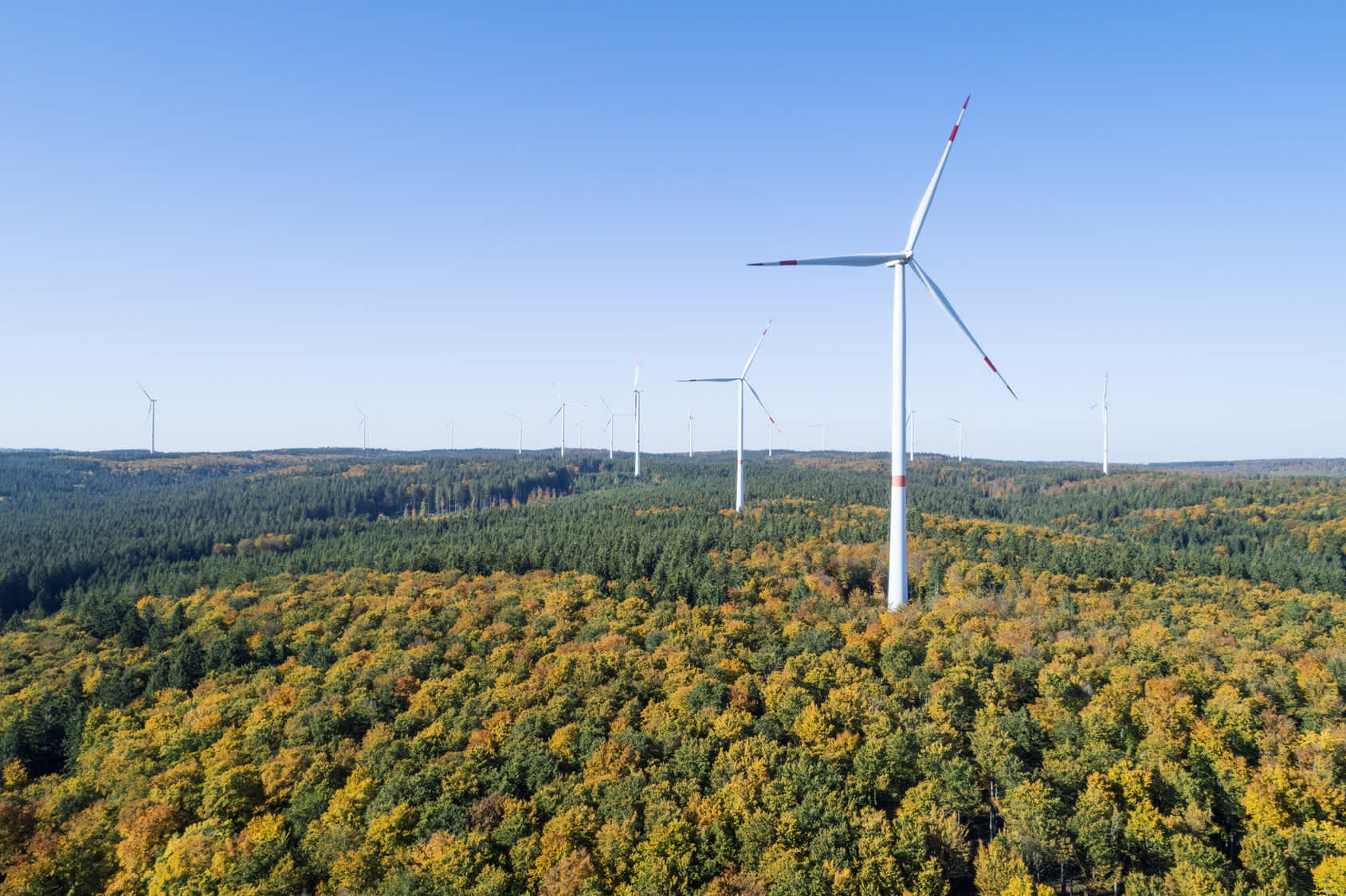 An image of wind farm.